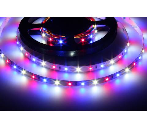 T-LED 078080