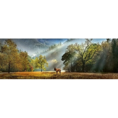 Heye Morning greeting panorama 1000 dielov