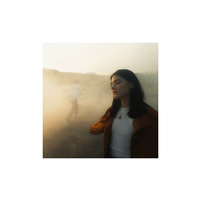 SUNSLEEPER - WHILE YOU CAN LTD. LP