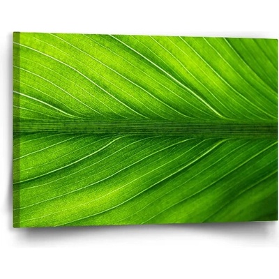 Sablio Obraz List 2 - 90x60 cm