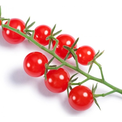 Paradajka Sweet Pea - Červená - Solanum pimpinellifolium - Osivo divokých rajčiakov - 6 ks