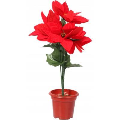 KYTICA 5 POINSETTIÍ V KVETINÁČI 35CM Goliat