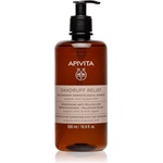 APIVITA Dandruff Relief Dry Dandruff Dermatological Shampoo шампоан против пърхот за суха и сърбяща кожа на главата 500ml
