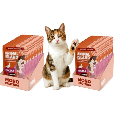 ANIMAL ISLAND Mono Kachna 20 x 100 g