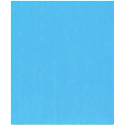 MADRID PAPEL IMPORT S.L Hedvábný papír světle modrý 50x66cm 10ks