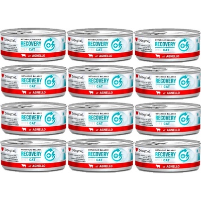 Disugual Recovery Jahňacie 12 x 85 g