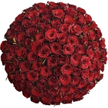 Kytice 100 červených růží SIMPLY RED 50 cm