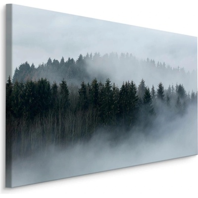 Plátno Stromy V Mlze Varianta: 90x60