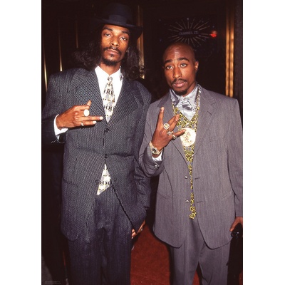 Plagát, Obraz - Snoop Dogg & Tupac - Suits, 59.4 × 84.1 cm