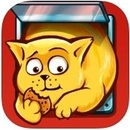 Cat on a diet