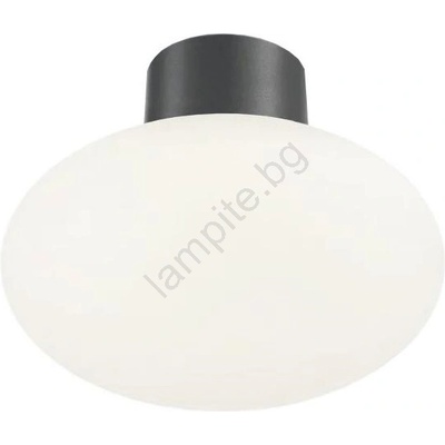 Ideal Lux - Външно таванно осветително тяло CLIO 1xE27/42W/230V IP44 антрацит (ID148861)
