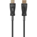 Lanberg CA-HDMI-30FB-1000-BK