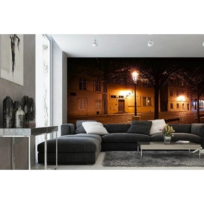 Dimex MA-5-0746 Samolepicí vliesová fototapeta na zeď Kampa Praha rozměry 375 x 250 cm