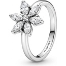 Pandora 193000C02