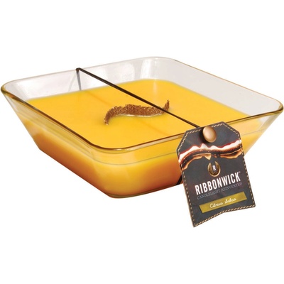 RibbonWick Citrus Salsa 808 g