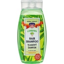 Palacio konopný vlasový šampón 250 ml