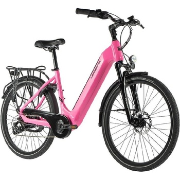 Leader Fox Lotus 2023