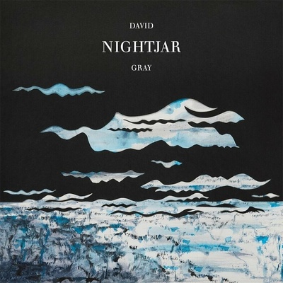 David Gray - Nightjar 2 LP