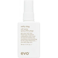 evo Salty Dog Salt Spray 50 ml