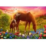 Trefl Puzzle - 500 - Horses in the Meadow Trefl 37451