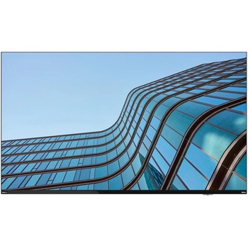 Lenovo ThinkVision E55