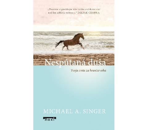 Nespútaná duša - Michael A. Singer