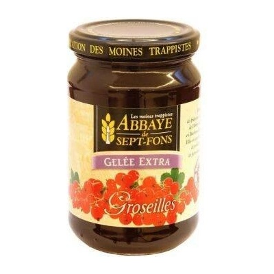 Rosol výběrový červený rybíz 370 g