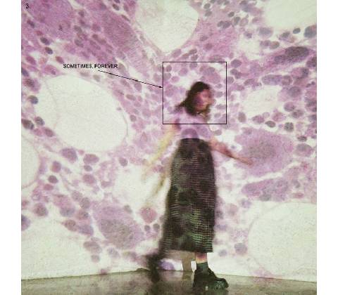 SOCCER MOMMY - SOMETIMES, FOREVER CD