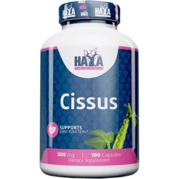 Image 1 of Haya Labs Cissus Extract 500 mg [100 капсули]
