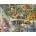 Ravensburger - Puzzle Gelsinger: Gardeners Paradise - 2 000 piese