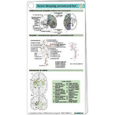 Neuro Imaging pocketcard Set | Sebastian von Stuckrad-Barre, Stefan Weidauer