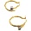 VipGold Златни обеци 2.70 гр (o010)