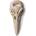 Alchemy Gothic чокър ALCHEMY GOTHIC - Raven Skull - SBO8