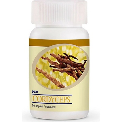 DXN Cordyceps 60 kapsúl