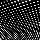 Beach House Bloom (VINYL)