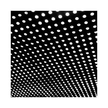 Beach House Bloom (VINYL)