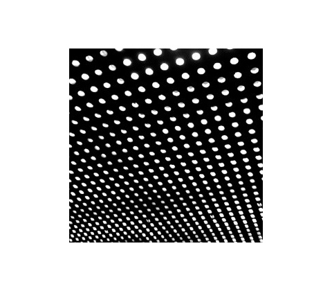 Beach House Bloom (VINYL)
