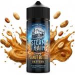 Steam Train Pattern 24ml/120ml