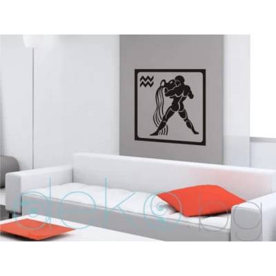 Водолей (6211)