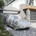 vidaXL Покривало за кола, за SUV, с каишки, цяло, сребрист, M (4008930)