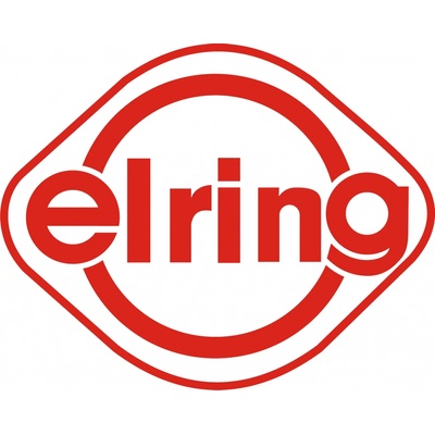 ELRING Sada těsnění vstřikovací trysky ELR 982.320