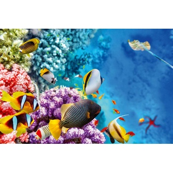 DIMEX ART s. r. o Флизелинов фототапет удивителен подводен свят 375 x 250 см