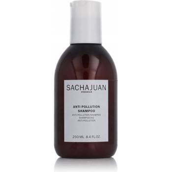 Sachajuan Zklidňující šampon proti lupům Scalp Shampoo 250 ml