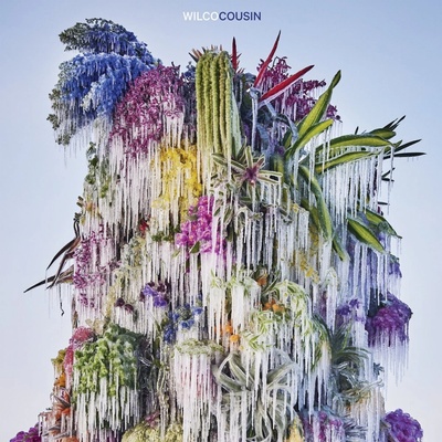 Wilco: Cousin: Vinyl CD