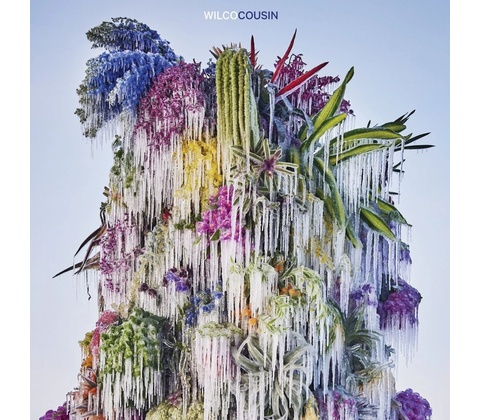 Wilco: Cousin: Vinyl CD