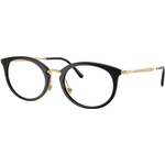 Ray-Ban RX7255 2000