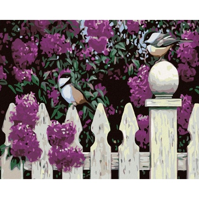 zuty Malování podle čísel Sýkorky na plotě 50 x 40 cm vypnuté plátno na rám 8596530024972