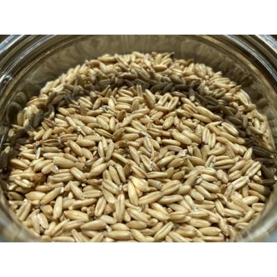 Tiny Greens Oves BIO semínka na vločkování 800 g
