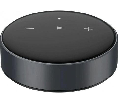 WiiM Mini
