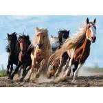Trefl - Puzzle The galloping horses - 1 000 piese